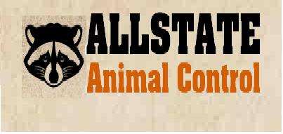 Image for Allstate Animal Control with ID of: 772640