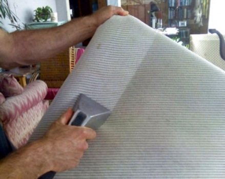 Image for Phoenix Carpet Cleaners - Carpet Cleaning Pros with ID of: 774247