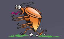 Image for Tough Bug Solutions with ID of: 776894