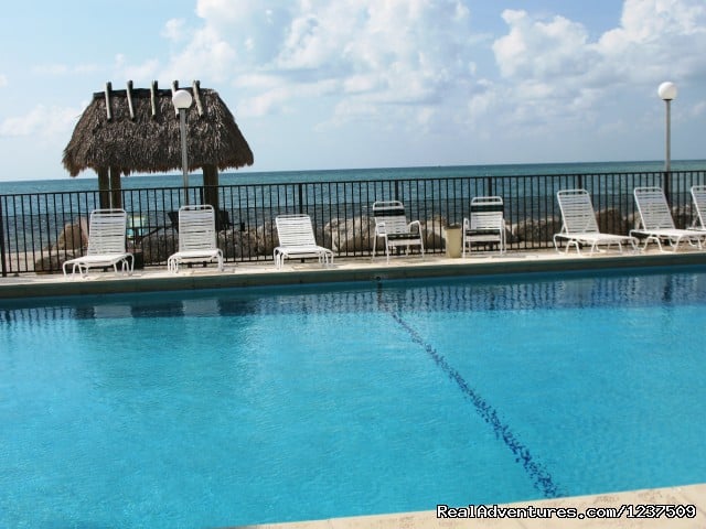 Image for Royal Plum Club with ID of: 777413