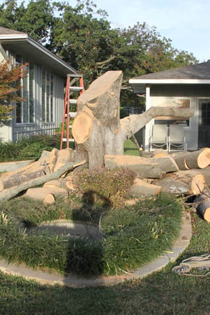 Image for Justin's Tree Service with ID of: 778596