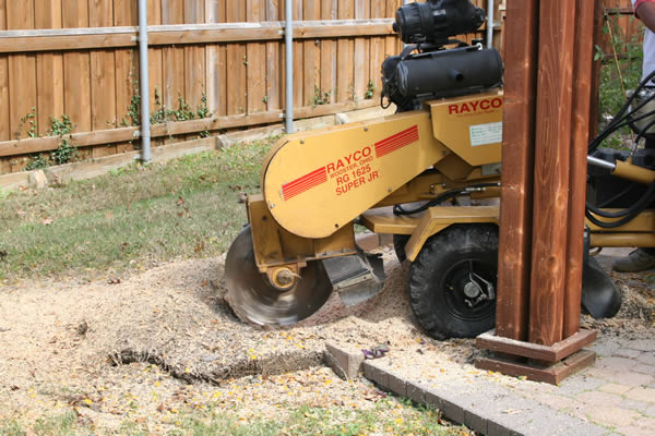 Image for Justin's Tree Service with ID of: 778597
