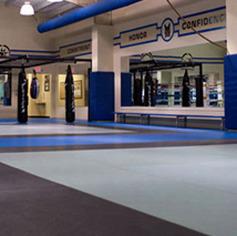 Image for American Standard Gym Mats Inc with ID of: 778888