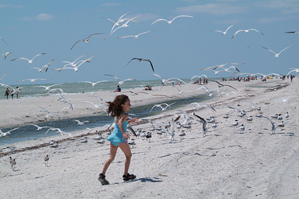 Image for Sanibel Island, Florida with ID of: 86494