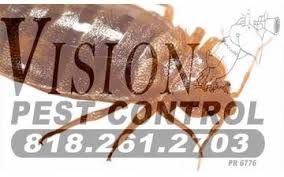 Image for Vision Pest Control with ID of: 781911