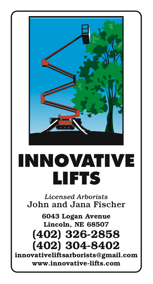 Image for Innovative Lifts with ID of: 781924