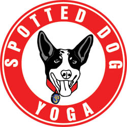 Image for Spotted Dog Yoga with ID of: 783470