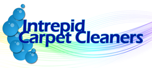 Image for Intrepid Carpet Cleaners with ID of: 783987