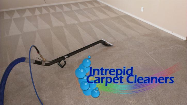 Image for Intrepid Carpet Cleaners with ID of: 783988