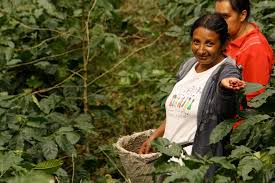 Image for Fair Trade Cafe with ID of: 784679