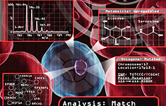 Image for Sample Analysis with ID of: 785180