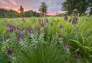 Image for photography classes Homer Glen with ID of: 788798