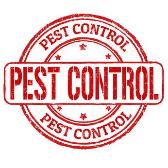 Image for St Cloud MN Pest Control with ID of: 788881