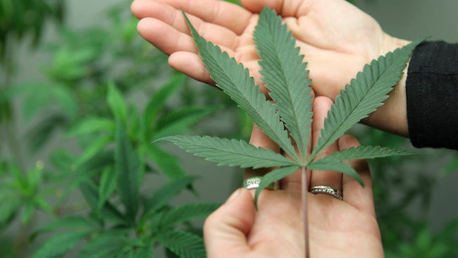 Image for TruMed Dispensary with ID of: 789553