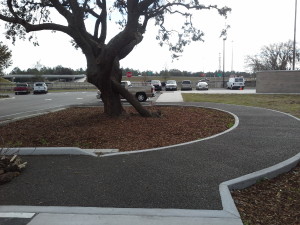 Image for H2 Turf with ID of: 790147