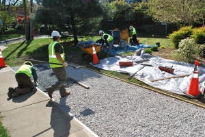 Image for H2 Turf with ID of: 790152