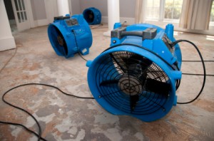 Image for Blackbrook Construction with ID of: 792554