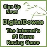 Image for Online Virtual Horse Racing Game with ID of: 795438