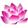 Image for Lotus Nails Spa with ID of: 797040