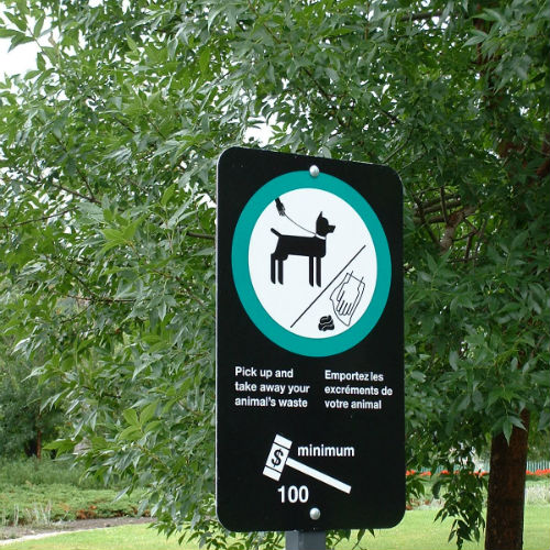 Image for Turdminators Pet Waste Removal with ID of: 798024