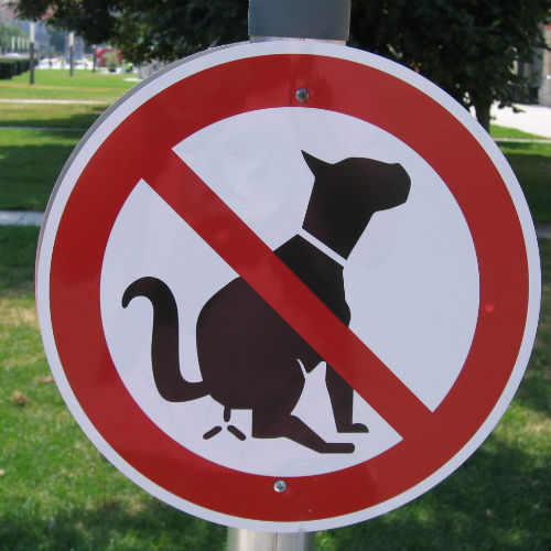 Image for Turdminators Pet Waste Removal with ID of: 798029