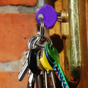 Image for The Key Guy Mobile Locksmith with ID of: 798080