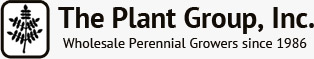 Image for Perennial Flowers with ID of: 799627
