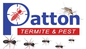 Image for Patton Termite and Pest with ID of: 804056