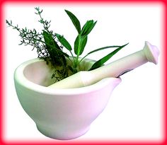 Image for Sweet Leaf Pioneer with ID of: 804184