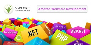 Image for Amazon Webstore designer and  developer with ID of: 804540