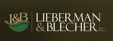 Image for Lieberman & Blecher with ID of: 805959