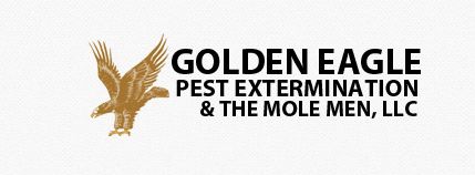 Image for Golden Eagle Pest Extermination with ID of: 806540