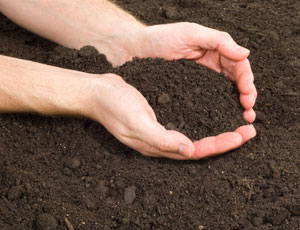 Image for Lead in Soil with ID of: 806797