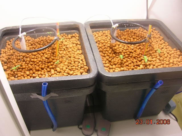 Image for Way To Grow Central Denver with ID of: 812251