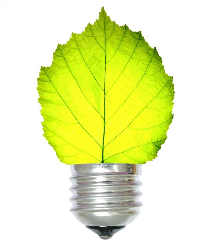 Image for Solar Energy Carrollwood with ID of: 814128
