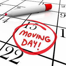 Image for professionalmovers.ae with ID of: 814676
