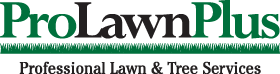 Image for Lawn Care Services Baltimore County with ID of: 815541