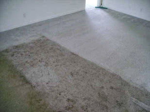 Image for Modern Carpet Cleaning with ID of: 817615
