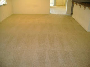 Image for Modern Carpet Cleaning with ID of: 817617