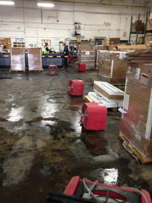 Image for Rapid Dry Inc. with ID of: 817898