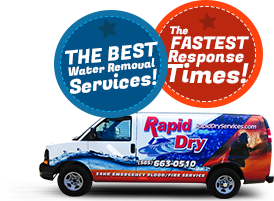 Image for Rapid Dry Inc. with ID of: 817899