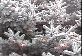 Image for Inside Montclair - Holiday Show # 2 with ID of: 90538