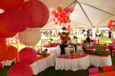 Image for Show Max Productions with ID of: 819213