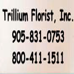 Image for Trillium Florist with ID of: 819230