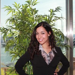 Image for Madison Mansy, D.M.Q. with ID of: 820252