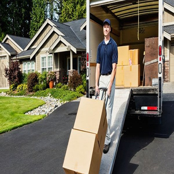 Image for Miami Movers with ID of: 821973