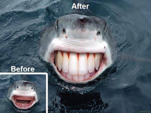 Image for Dipp Dental Lab with ID of: 823490