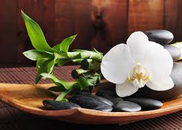 Image for Lotus Nails Spa with ID of: 824211