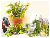 Image for CannaMart with ID of: 824751