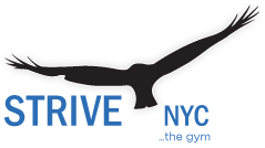 Image for Strive NYC with ID of: 824830